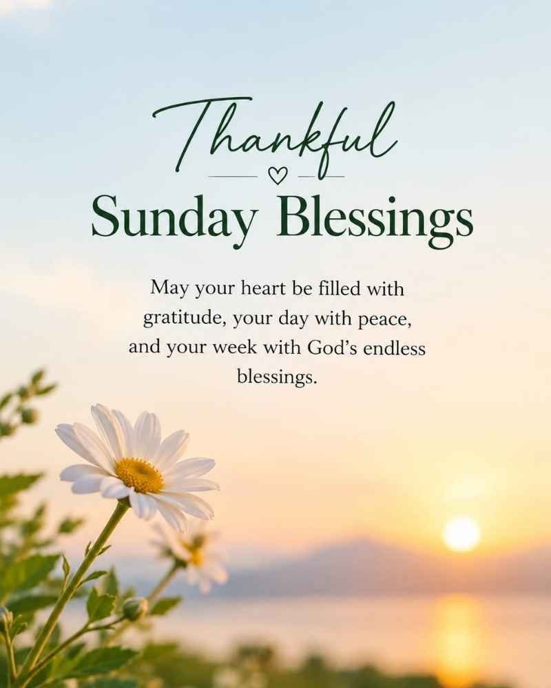 Thankful Sunday Blessings